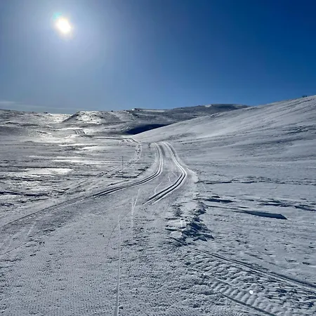 Hjemmekoselig Liten Med Kort Avstand Til Jotunheimen *