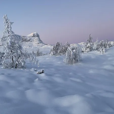 Hjemmekoselig Liten Med Kort Avstand Til Jotunheimen Beitostolen